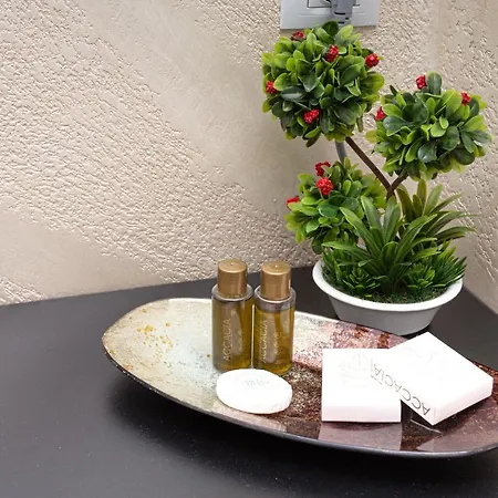 Apartment Raj Brasov